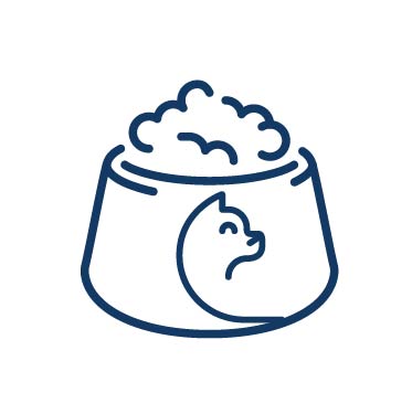 concentrado_gato_categoria