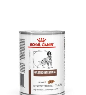 Royal Canin Dog Gastro Intestinal X 385 Gr