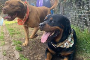 Guarderia19 Guarderia19