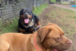 Guarderia20 Guarderia20