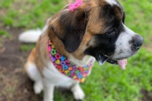 Guarderia21 Guarderia21