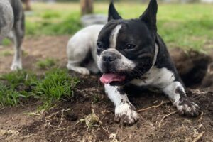 Guarderia7 Guarderia7