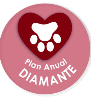 Plan Anual Diamante