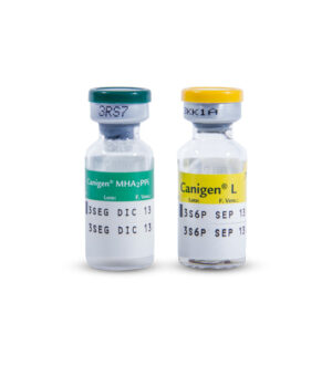 Vacuna Canigen MHA2PPI L Quintuple
